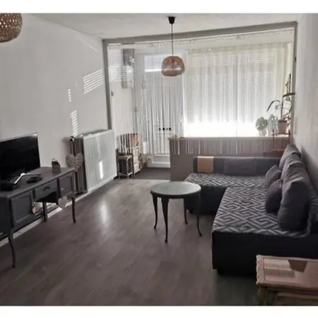 Vintage House Viva *